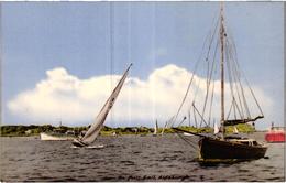 Aldeburgh Suffolk England United Kingdom Sailing Boats Voilier 1950s Postcard - Ipswich