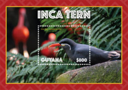 Guyana   2019  Fauna Inca Tern  I201901 - Guyana (1966-...)