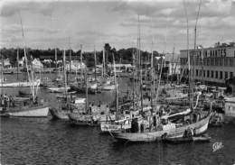 29-CONCARNEAU- LE PORT - Concarneau