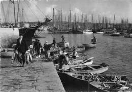 29-CONCARNEAU- ARRIVAGE DE THONS - Concarneau