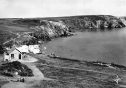 29-CAMARET- SUR-MER- LA PLMAGE DU VERYHAC'H ET LES FALAISES DU CÔTE DE LAMSOZ - Camaret-sur-Mer