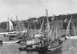 29-DOUARNENEZ-SARDINIERS AU PORT - Douarnenez