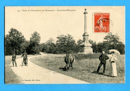 28 - Eure Et Loir - Châteauneuf - Foret De Chateauneuf En Thymerais - Pyramide D'Hauterive (0087) - Châteauneuf