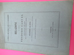 Botanique/sopraintendente Dell' Istituto Sulla Sistemazione Delle Collezioni Botaniche/Teodor CARUEL/Firenze/1881 MDP118 - Alte Bücher