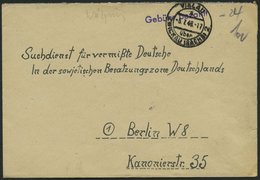 ALL. BES. GEBÜHR BEZAHLT VIELAU ZWICKAU (SACHSEN)2, 5.7.48,violetter L1 Gebühr Bezahlt, Suchdienstumschlag, Pracht - Other & Unclassified