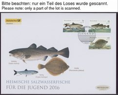 JAHRGÄNGE 3199-3273 BRIEF, 2016, Kompletter Jahrgang Auf FDC`s Im Deutschland Exklusiv-Album Mit Schuber, Pracht - Andere & Zonder Classificatie