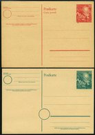 GANZSACHEN PSo 1/2 BRIEF, 1949, Bundestag, Ungebraucht, 2 Prachtkarten, Mi. 56.- - Colecciones