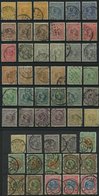 NIEDERLANDE 34-47 O, 1891-96, Königin Wilhelmina, 51 Werte In Nuancen, Etwas Unterschiedliche Erhaltung - Used Stamps