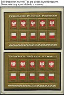 SAMMLUNGEN, LOTS **, Bis Auf Ein Paar Werte Der Jahre 1966/7 Komplette Postfrische Sammlung Polen Von 1966-70 Im KA-BE A - Verzamelingen