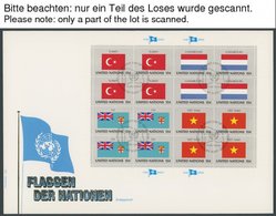 UNO NEW YORK Brief , 1980-83, Flaggen Komplette Bogensätze Auf 16 FDC`s, Pracht - ONU