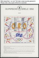 SPORT **,Brief , Olympische Spiele 1992 Auf Spezial Falzlosseiten Der Deutschen Sporthilfe Mit Blocks, Streifen, Markenh - 1990 – Italië