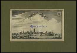 NEUSTADT/DONAU, Gesamtansicht, Kupferstich Von Ertl, 1687 - Litografía