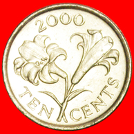 + FLOWER (1999-2009): BERMUDA ★ 10 CENTS 2000 MINT LUSTER! LOW START ★ NO RESERVE! - Bermudes