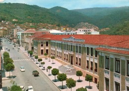 NICASTRO-VIALE STAZIONE CON EDIFICIO SCOLASTICO-VIAGGIATA-  F.G - Lamezia Terme