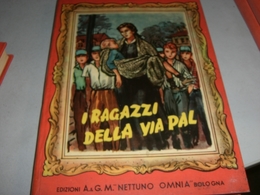 LIBRO I RAGAZZI DELLA VIA PAL - Classiques