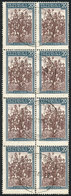 ARGENTINA: GJ.772, 20P. Cotton, Printed On CHALKY PAPER, Large Used Block Of 8, Extremely Rare, Possibly The LARGEST MUL - Sonstige & Ohne Zuordnung