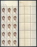 ARGENTINA: GJ.1530, 1970/3 25c. San Martín, Block Of 15 With PAPER OVERLAP Variety, Superb, Fantastic! - Sonstige & Ohne Zuordnung