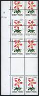 ARGENTINA: GJ.2216EN, 1985/91 20c. Flower Of Silk Floss Tree, Block Of 8 Stamps And 2 White GUTTERS, Superb, Extremely R - Other & Unclassified