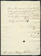 ARGENTINA: 27/JA/1817, Passport For Lieutenant Colonel José Manuel Troncoso, His 2 Sons And A Servant, To Travel By The  - Autres & Non Classés
