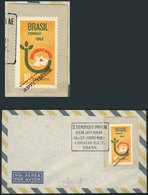 BRAZIL: Cover Franked With SPECIMEN Of The "Zona Franca De Manaus" Stamp, With Special Postmark Of The II UPU-UPAE Semin - Otros & Sin Clasificación