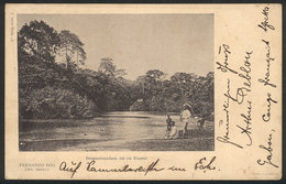FERNANDO PO: Moth Of The River Consul, Ed. Thomas, Dated 1906, Rare! - Unclassified