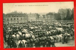 Delcampe - 49-237 - MAINE ET LOIRE - CHOLET - Marché Aux Boeufs - Cholet