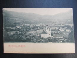 AK REICHENAU NÖ B. Neunkirchen  Ca.1900 // D*39123 - Neunkirchen