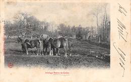 Corlay          22        Attelage Breton. Chevaux Au Labour          (voir Scan) - Otros & Sin Clasificación