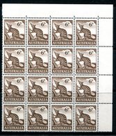 Australia 1959-64 Pictorial Definitives - 6d Numbat - Block Of 16 MNH (SG 316) - Neufs
