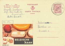 BELGIUM BAASRODE C (now Dendermonde) SC With Dots1966 (Postal Stationery 2 F, PUBLIBEL 2071) - Other & Unclassified