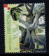 CROATIA 2001 Old Olive Tree   MNH / **.  Michel 569 - Croatie