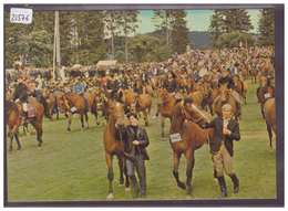 CARTE MODERNE - SAIGNELEGIER - MARCHE CONCOURS - TB - Saignelégier