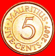 + PORTRAIT (1987-2016): MAURITIUS ★ 5 CENTS 2007 MINT LUSTER! LOW START ★ NO RESERVE! - Maurice