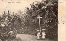 SAINTE-LUCIE MORNE ROAD CASTRIES (CARTE PRECURSEUR ) - Santa Lucia