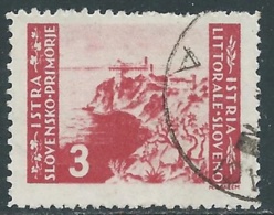 1946 ISTRIA E SLOVENO USATO TIRATURA DI BELGRADO 3 LIRE - RA11 - Yugoslavian Occ.: Istria