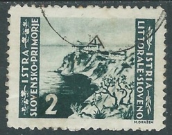 1946 ISTRIA E SLOVENO USATO TIRATURA DI ZAGABRIA 2 LIRE - RA11-4 - Occup. Iugoslava: Istria