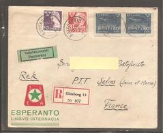 Enveloppe ESPERANTO    SUEDE     GOTEBORG   1947 - Esperanto