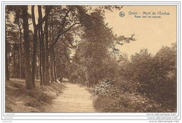 ORROIR ..-- MONT - DE - L' ENCLUS ..-- Vers Les Acacias . 1924 Vers WACHTEBEKE ( Mr DELLAERT ) . Voir Verso . - Mont-de-l'Enclus