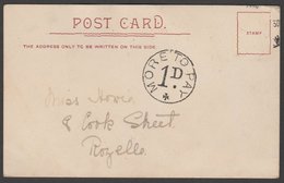 NEW SOUTH WALES AUSTRALIA HAND DRAWN POSTCARD 1d MORE TO PAY INSTRUCTIONAL MARK - Lettres & Documents