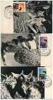 1962 Nazioni Unite, Uccelli Nel Nido 3 Cartoline Maximum - Hirondelles