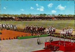 !  Modern Postcard Lahore Horse + Cattle Show, Pferde, Cheval, Horses, Pakistan - Pakistan