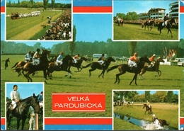 !  Modern Postcard Velka Pardubicka, Pferde, Cheval, Horses, Horse Race - Caballos