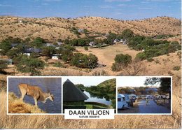 NAMIBIE. Carte Postale écrite. Daan Viljoen Nature Reserve. - Namibie