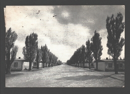 Dachau - Lagerstrasse / Main Road Through The Camp - Schlag Crematorium 1426 Dachau - Dachau