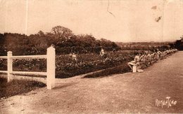 LA MOTTE VENDEE LA ROSERAIE - La Mothe Achard