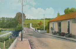 CPSM - France - (16) Charente - Condac - Le Pont, Route De Confolens - Confolens