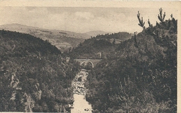 Delcampe - HAUTE LOIRE - 43 - YSSINGEAUX - Le Pont De L'Enceinte - Pont Neuf Sur Le Lignon - Yssingeaux
