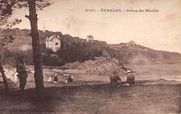 Etables Sur Mer         22       La Grève Du Moulin 2      (voir Scan) - Etables-sur-Mer