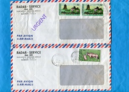 MARCOPHILIE-2  LETTRES- AFARS ET ISSAS- Cad 1973-4 -stampsN°A 80-ORYX+385 Flamands Rose - Covers & Documents