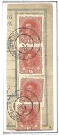 CZECHOSLOVAKIA / AUSTRIA. RYCHNOV NAD KNEZNOU – GERMAN EXCISED. DATED 28/2/19. - Used Stamps